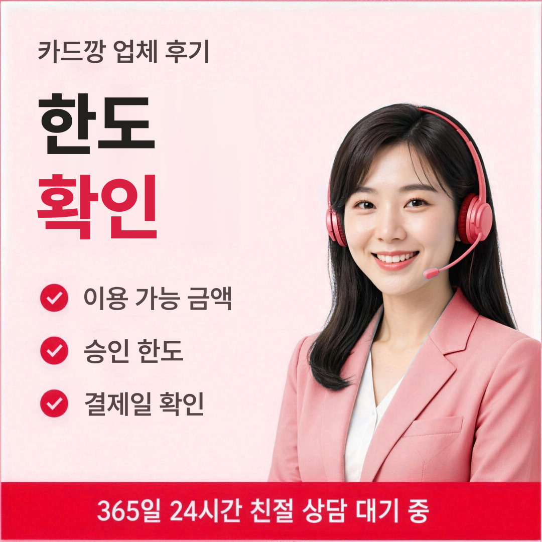 다음머니 카드깡 업체 후기 한도 확인 안내